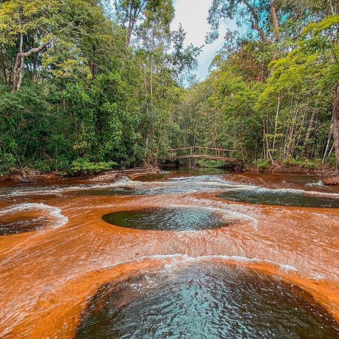 Amazônia